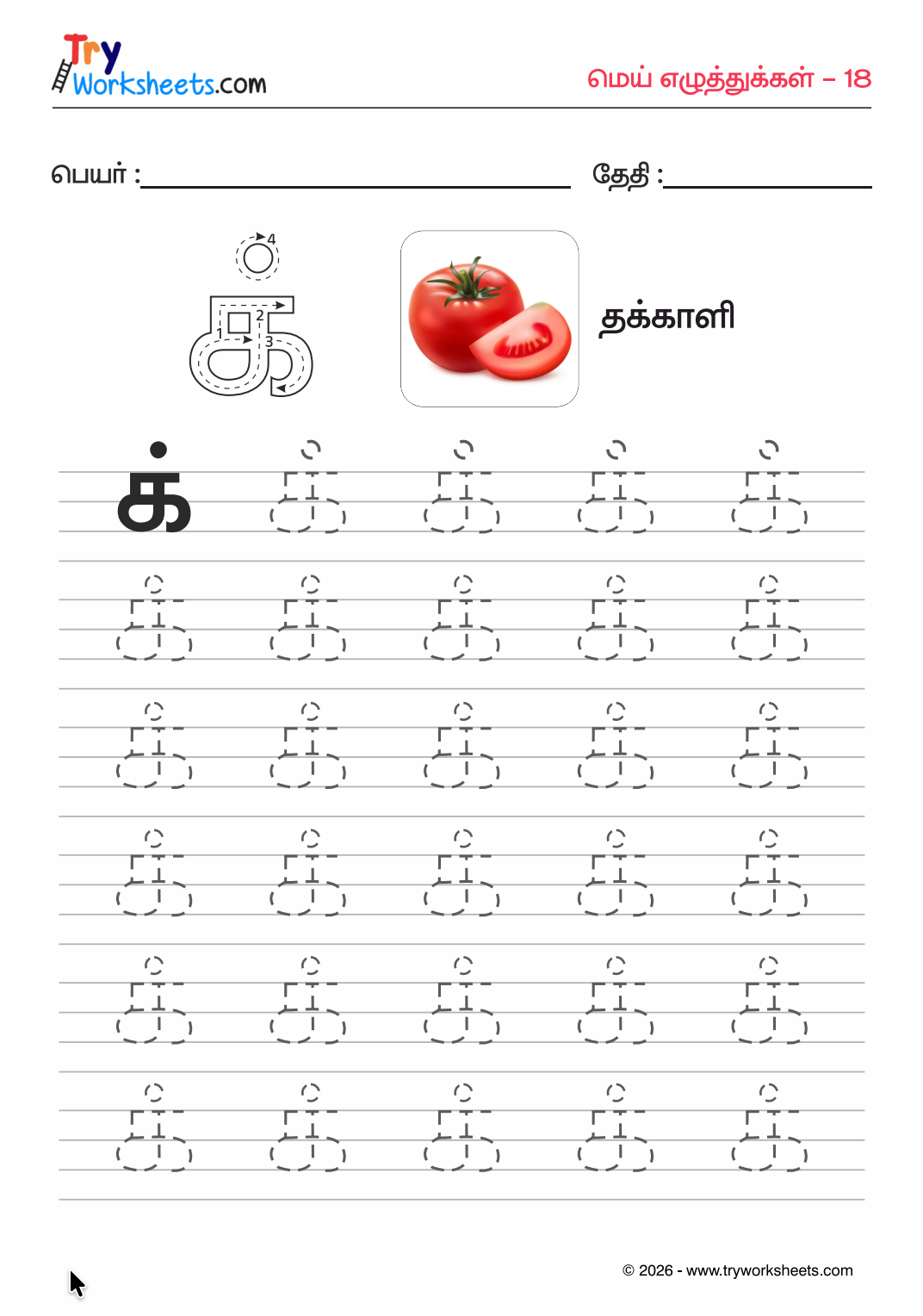 Tamil Mei Eluthukal Tracing Bundle Worksheets for Kids (Premium PDF) | 18 Pages