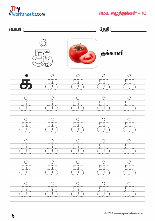 Tamil Mei Eluthukal Tracing Bundle Worksheets for Kids (Premium PDF) | 18 Pages