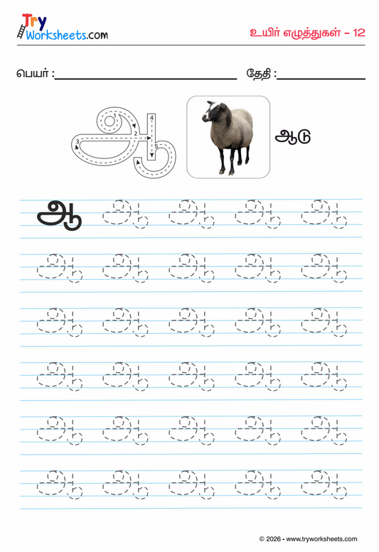 Tamil Uyir Ezhuthukkal Tracing Worksheets Bundle | Guided Letter Tracing PDF for Kids | 13 Pages | Digital Download